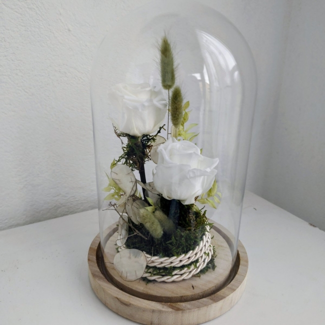 Eternelle sous cloche blanche