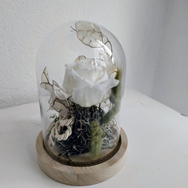 Eternelle sous cloche blanche petite