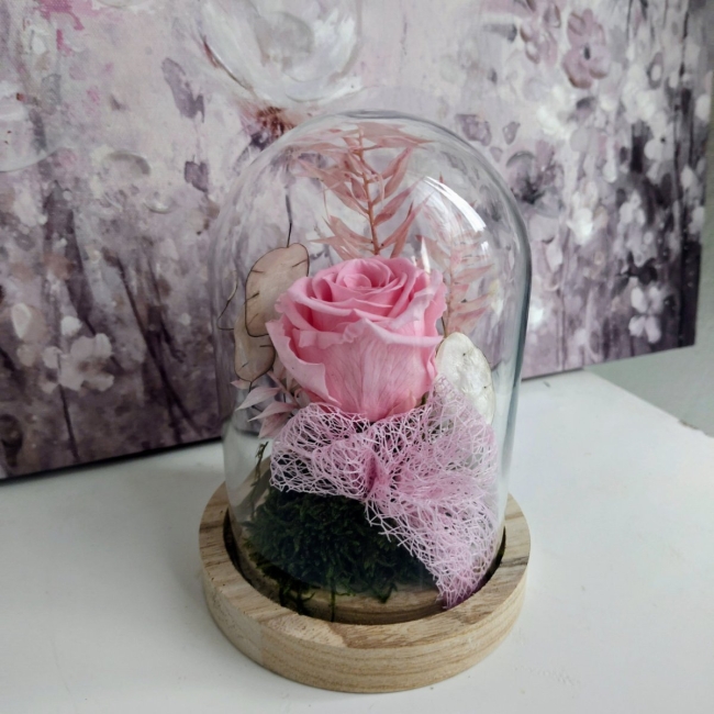 Eternelle sous cloche rose petite