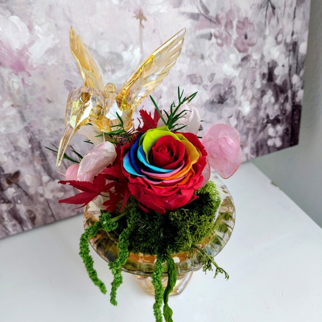 Arc-en-ciel et colibri
